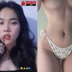 ivy vi